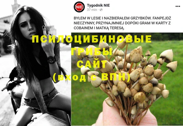 скорость mdpv Осинники