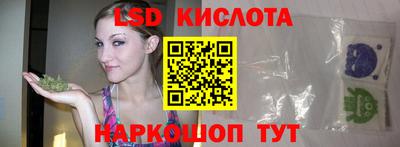 крисы Кимры