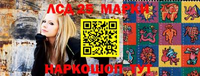 apvp Кингисепп