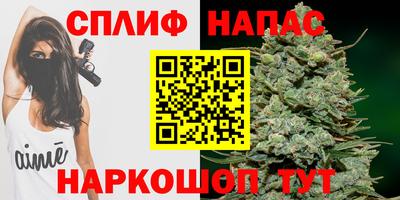 apvp Кингисепп