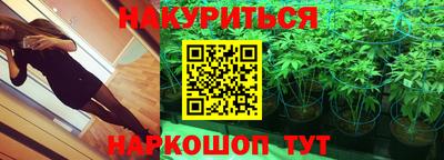 apvp Кингисепп