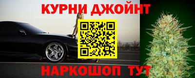 apvp Кингисепп