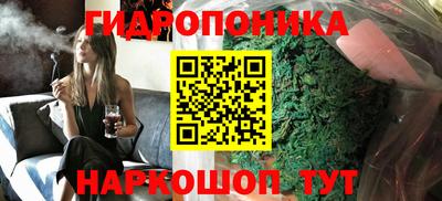 apvp Кингисепп