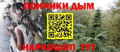 apvp Кингисепп