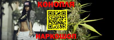 крисы Кимры