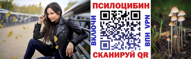 гидра как войти  Сегежа  Галлюциногенные грибы Cubensis 