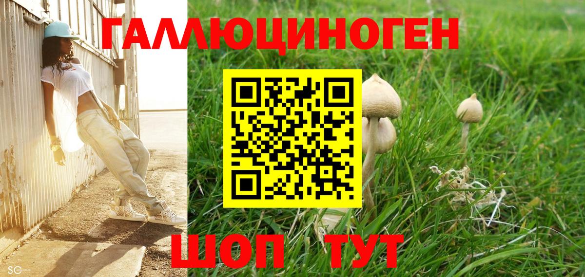 Псилоцибиновые грибы MAGIC MUSHROOMS  Вход с VPN  Сегежа 