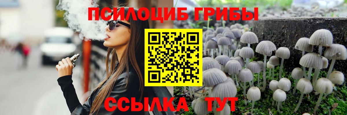 Галлюциногенные грибы GOLDEN TEACHER Сегежа